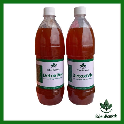 KIT DETOXIVIE 100% NATUREL A BASE DE PLUSIEURS PLANTES